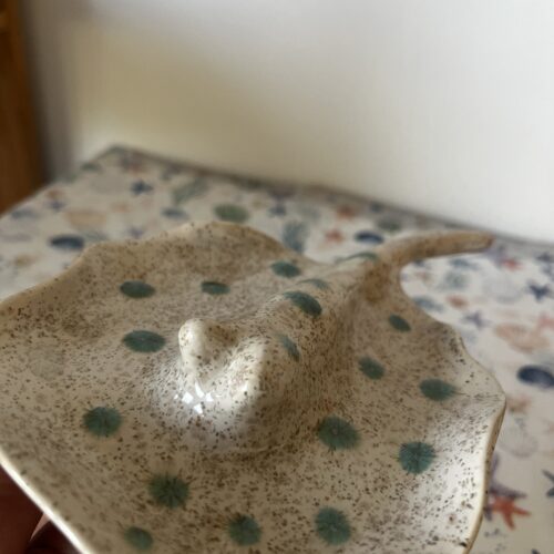IMG_4458 IMG_4458