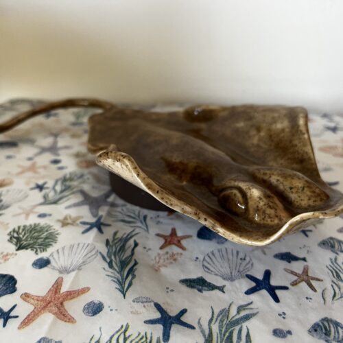 IMG_4460 IMG_4460